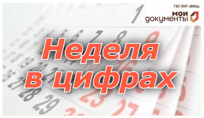 Порядка 23 700 заявлений принято сотрудниками МФЦ ЛНР за прошедшую неделю