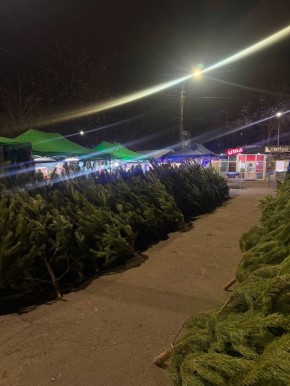 На Востоке в Луганске уже начали продавать елки