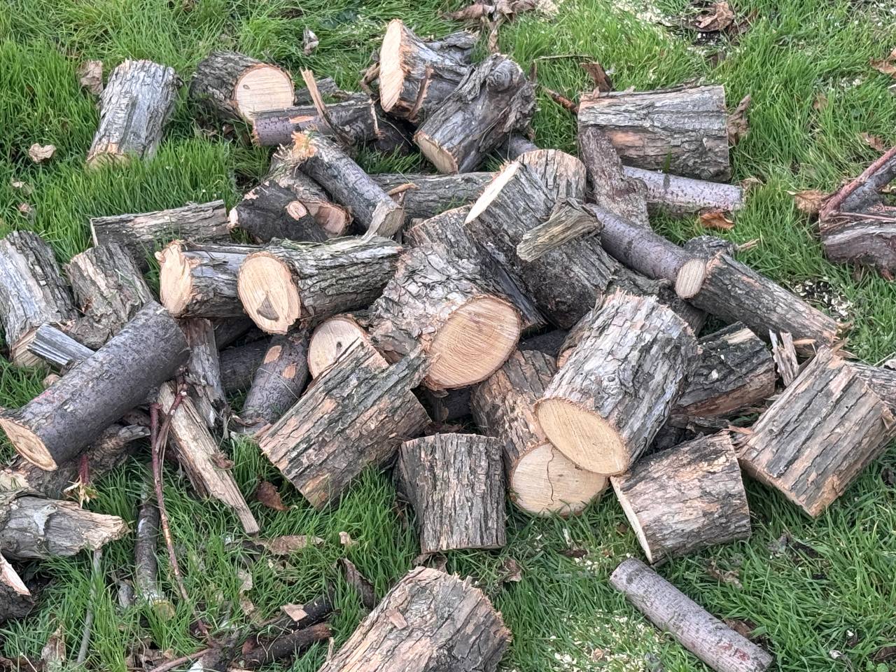 Андрей Рубанцов: Чужой беды – не бывает!. Мы – единый город, и в трудные времена мы должны быть вместе Андрей Рубанцов: Чужой беды – не бывает!. Мы – единый город, и в трудные времена мы должны быть вместе