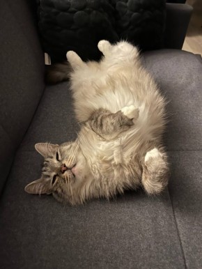 9 декабря на территории Луганской Народной Республики будет облачно с прояснениями