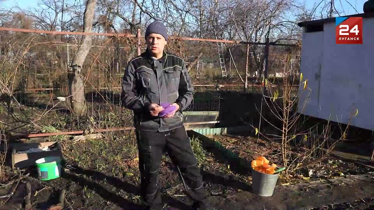 В Республике наступило время для подзимнего посева овощных культур