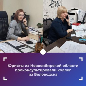 Юристы из Новосибирской области проконсультировали коллег из Беловодска