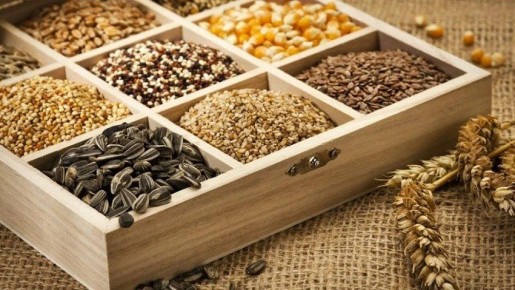 Правильное хранение семян — залог будущего урожая