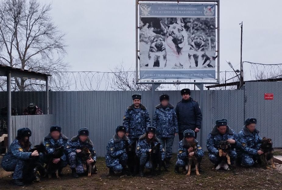 �������������� ������ ���������� ����������� ������ ���������� ��������� �� ��������� �������� ���������� ��������� 8 ������ �������� �������