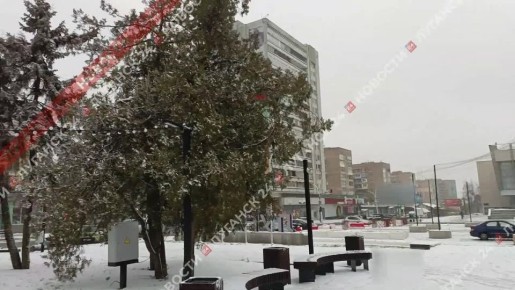 В центре Луганска продолжают наряжать главную новогоднюю ёлку Республики