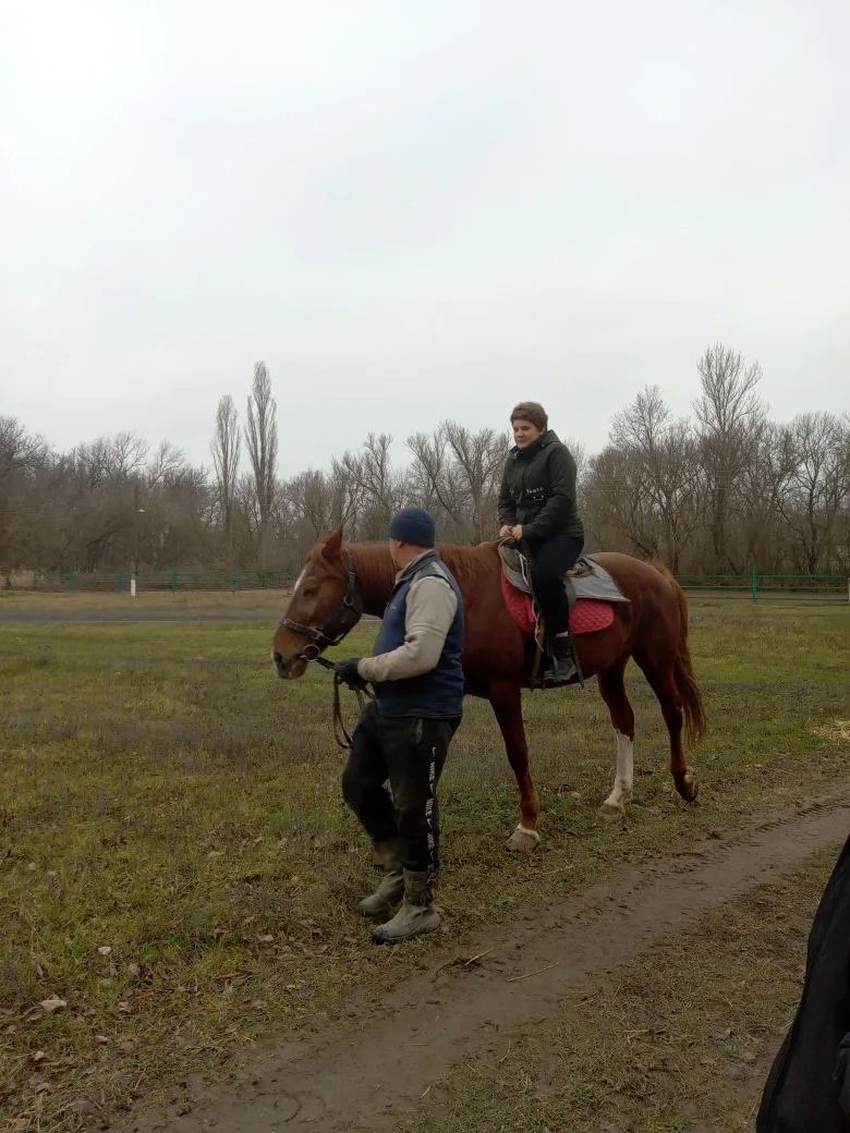 Учащиеся ГБОУ ЛНР "Беловодский лицей "Лидер" совершили увлекательную поездку на ГУП ЛНР "Лимаревский конный завод № 61"