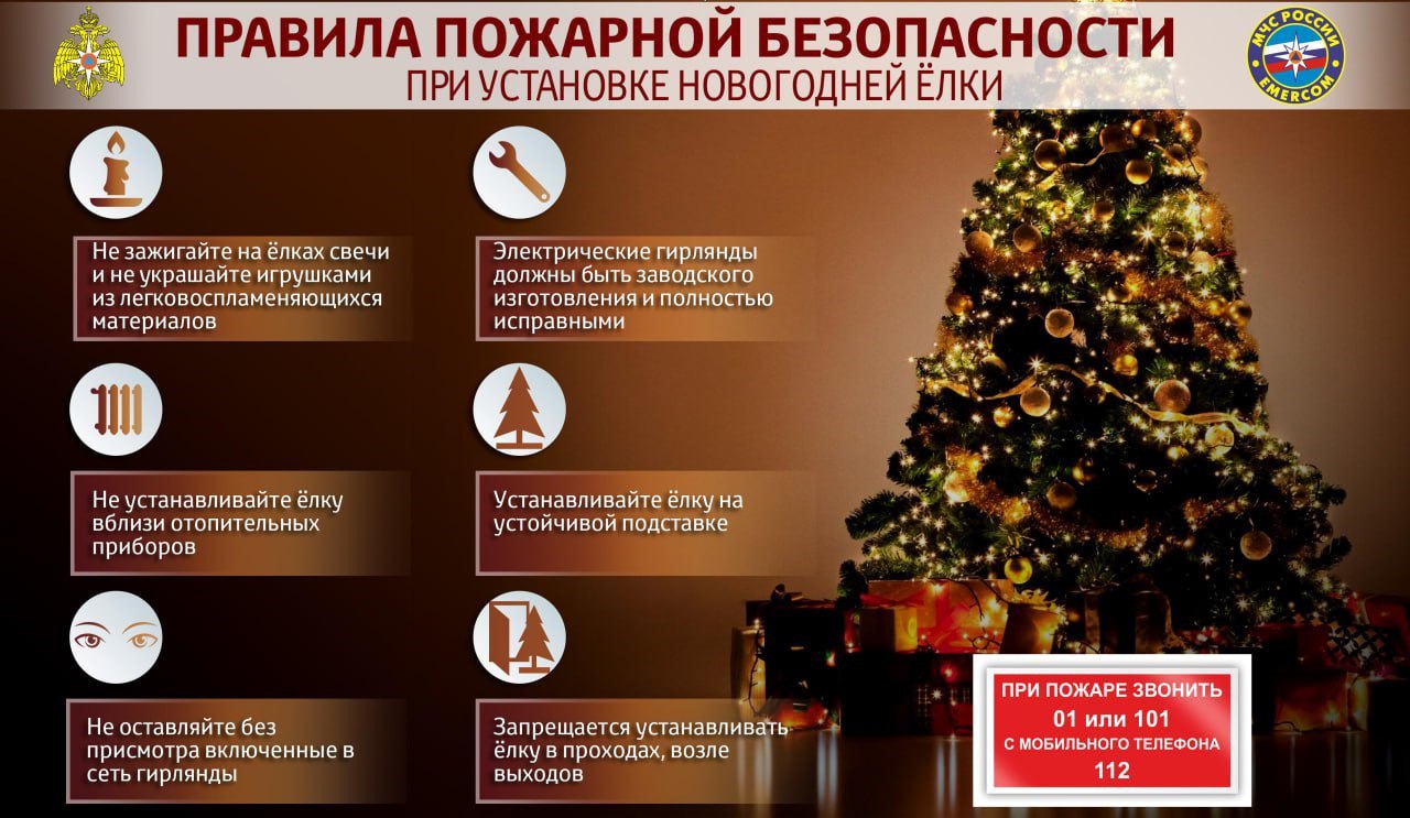 Отдел надзорной деятельности и профилактической работы по Троицкому району управления надзорной деятельности и профилактической работы