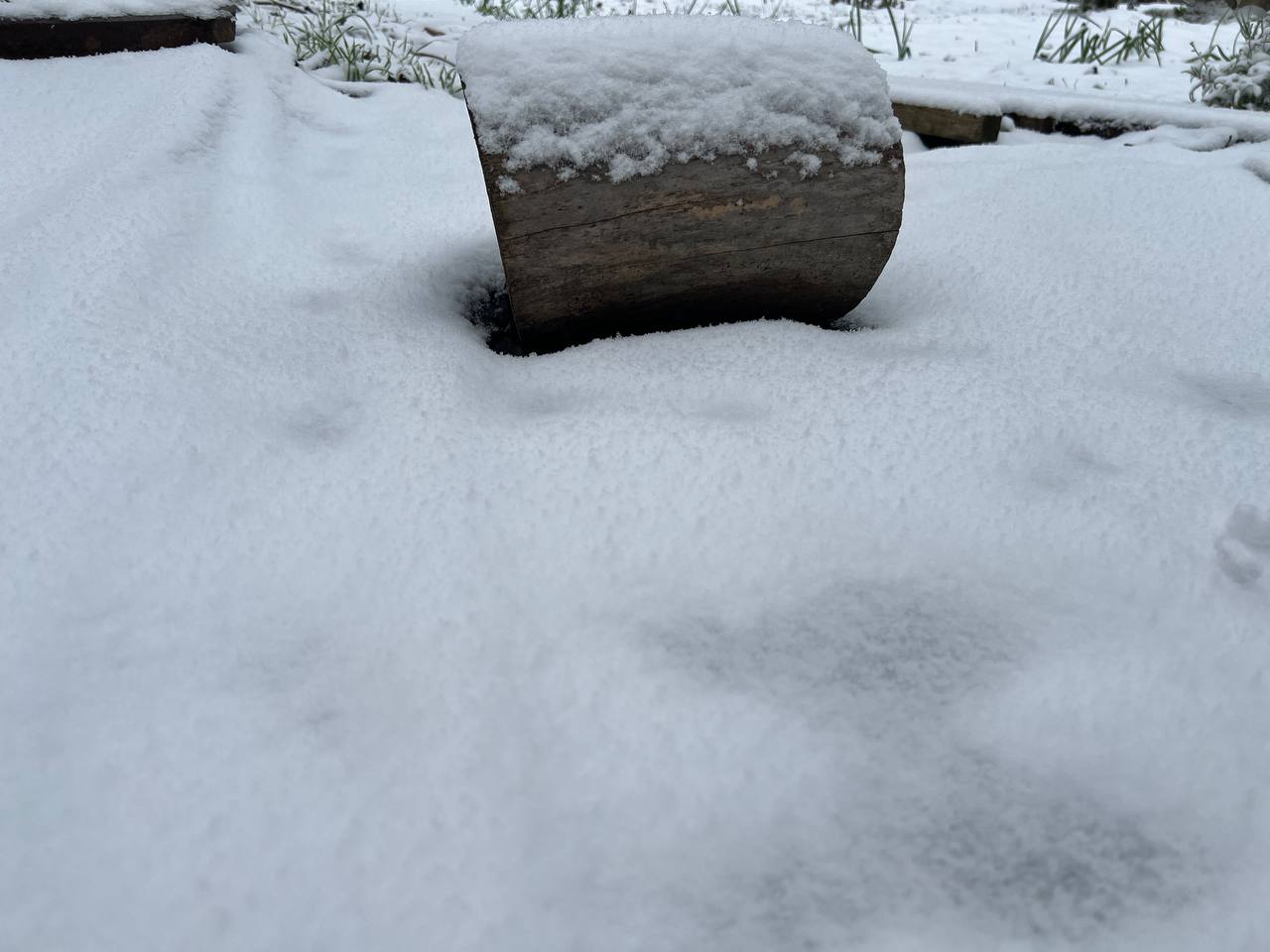 В ЛНР ожидаются метель, гололед и порывистый ветер В ЛНР ожидаются метель, гололед и порывистый ветер