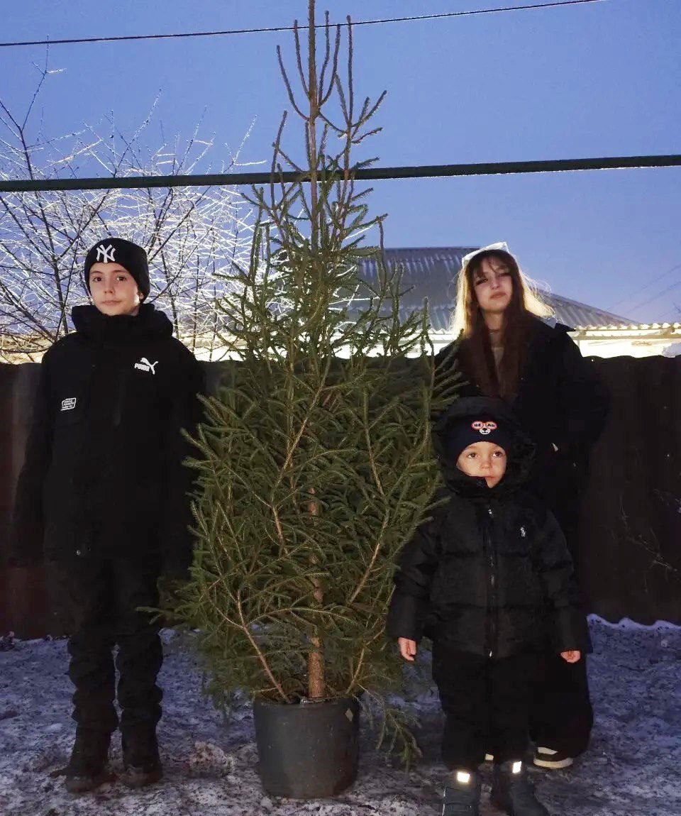 Новогодние ели для воспитанников алчевского центра «Возрождение» Новогодние ели для воспитанников алчевского центра «Возрождение»