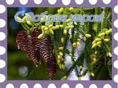 Прекрасного дня!. Пусть этот день будет наполнен приятными сюрпризами и волнующими моментами