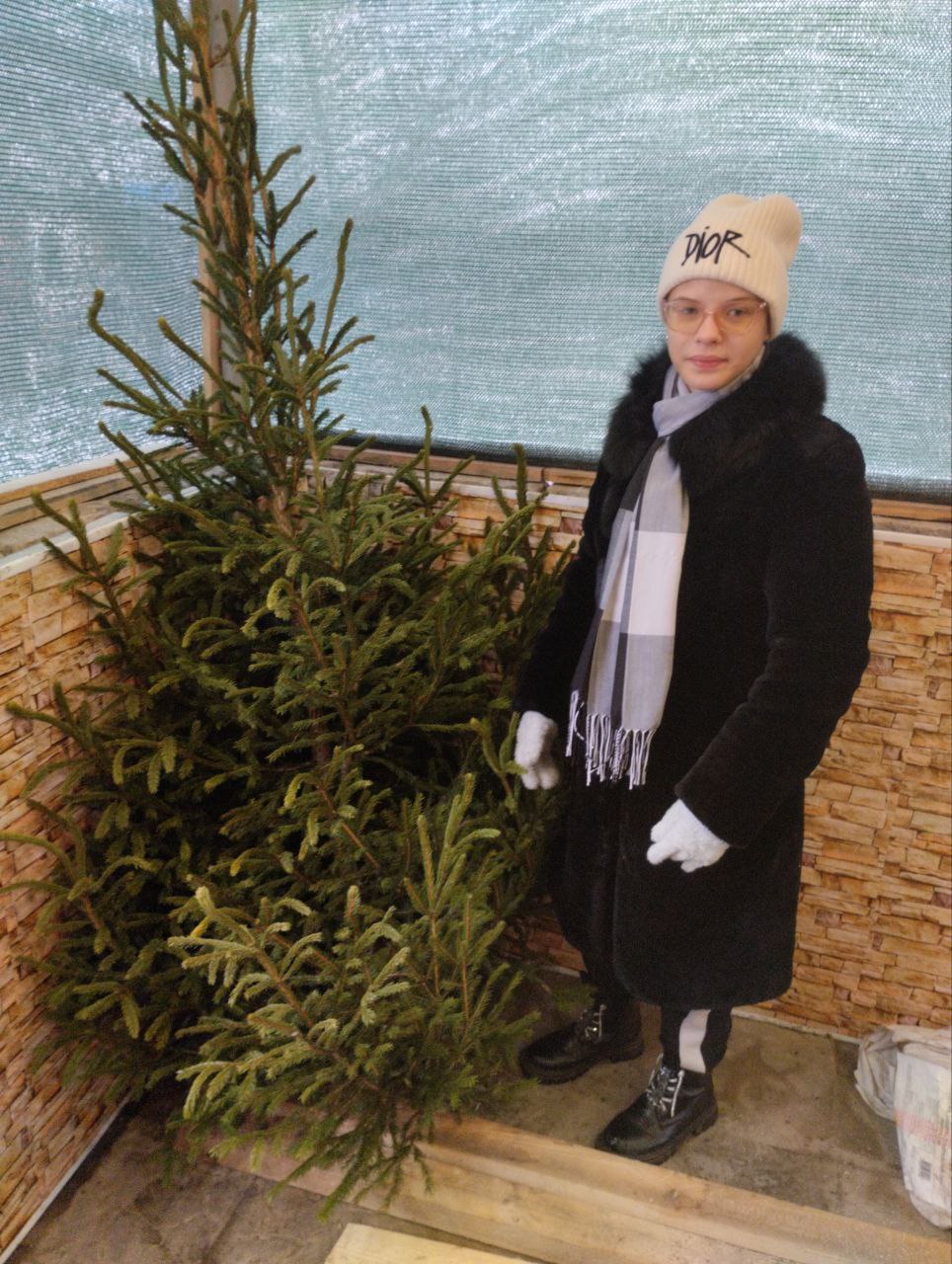 Новогодние ели для воспитанников алчевского центра «Возрождение» Новогодние ели для воспитанников алчевского центра «Возрождение»