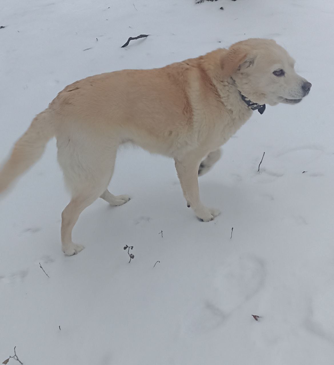 11 декабря на территории Луганской Народной Республики будет облачно с прояснениями