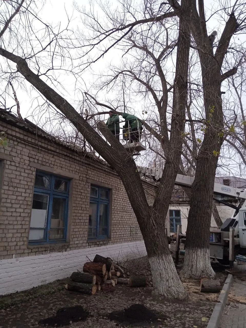 В Антрацитовском муниципальном округе продолжаются работы по благоустройству В Антрацитовском муниципальном округе продолжаются работы по благоустройству