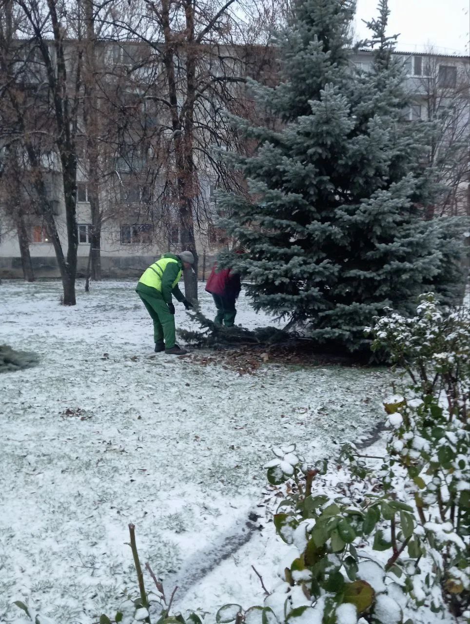 В Антрацитовском муниципальном округе продолжаются работы по благоустройству В Антрацитовском муниципальном округе продолжаются работы по благоустройству