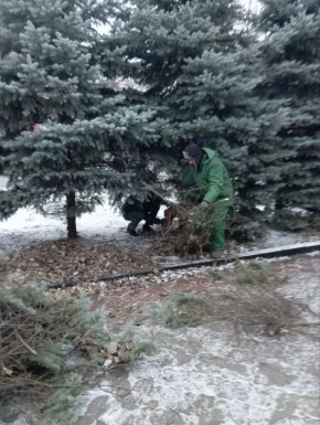 В Антрацитовском муниципальном округе продолжаются работы по благоустройству