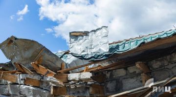      ,    ,  14,5 .    2025 .           