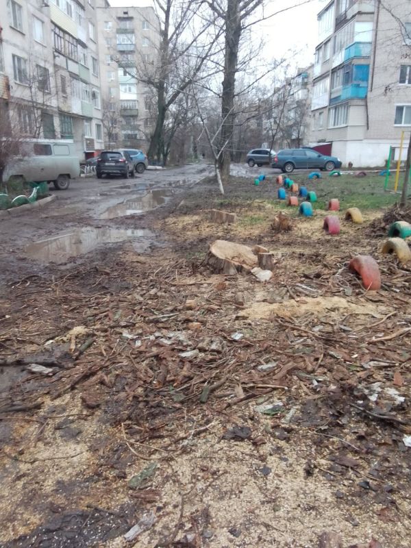 В Краснодоне осуществлялись мероприятия по удалению аварийных деревьев В Краснодоне осуществлялись мероприятия по удалению аварийных деревьев