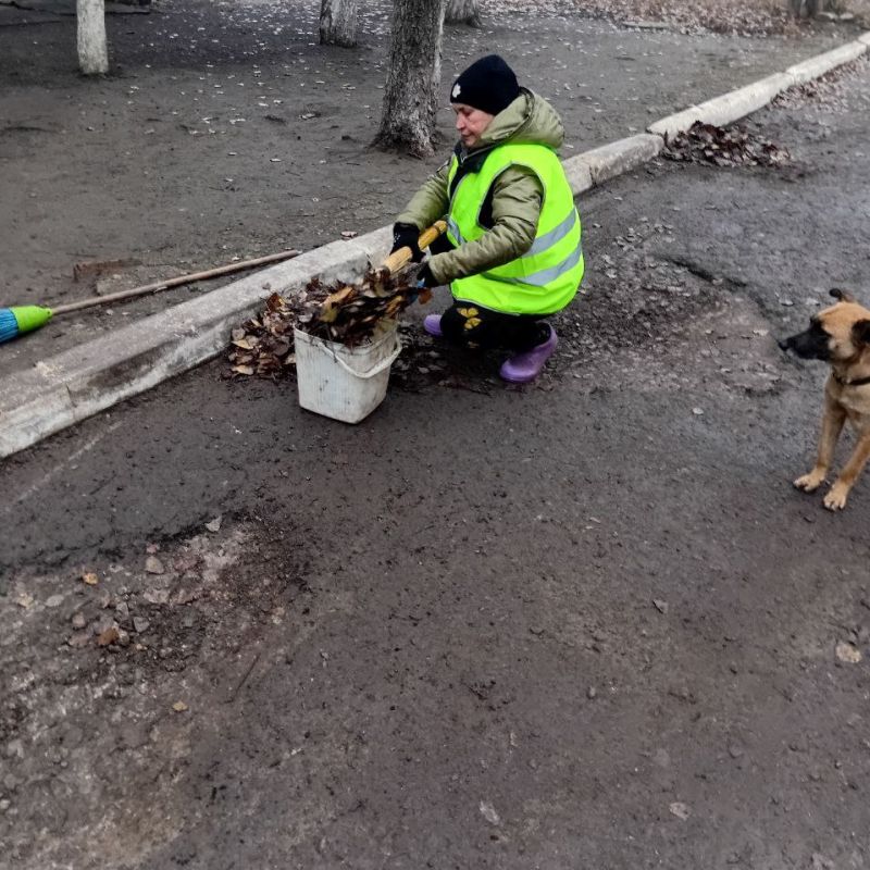 ������ ���������� ���������� �������� � ���� �������� �����������, ������������ �� ����������� ������� � ������� ������ ������ ����