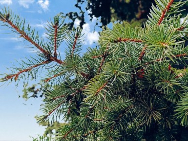 Доброе утро, Кировск!. Желаем теплого, светлого, лёгкого,и бодрого дня
