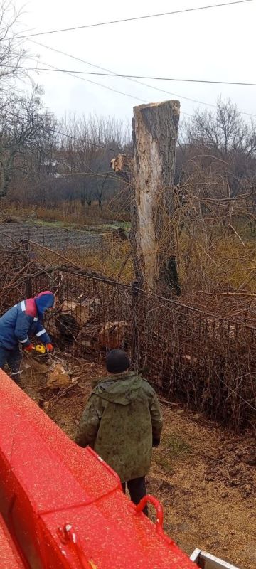 В ходе Прямой линии Главы Луганской Народной Республики жительницей Краснодона был затронут вопрос безопасности объектов энергоснабжения на территории округа, а именно — обрезки дерева, находящегося в непосредственной... В ходе Прямой линии Главы Луганской Народной Республики жительницей Краснодона был затронут вопрос безопасности объектов энергоснабжения на территории округа, а именно — обрезки дерева, находящегося в непосредственной...