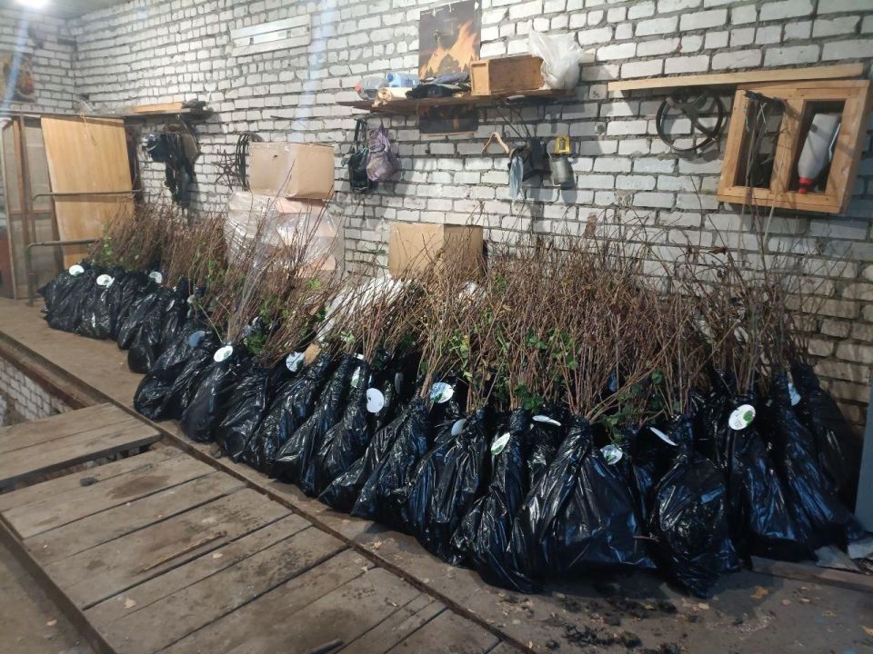 ������������� ���������� ����� ��������� ���������� � ���������� �����������