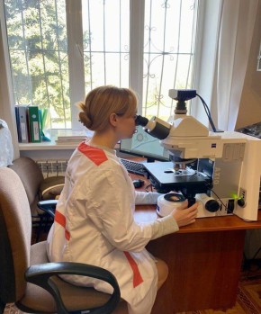 Подведены предварительные итоги оценки качества зерна урожая 2025 года в Республике