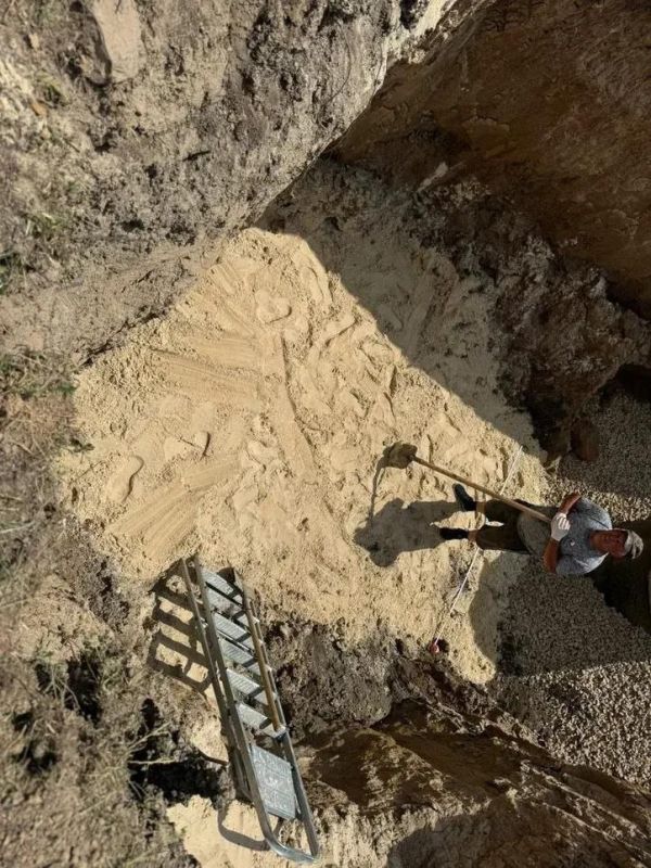 ��������� ����� ����� �� ������ ������� ��������� � ������������ �����