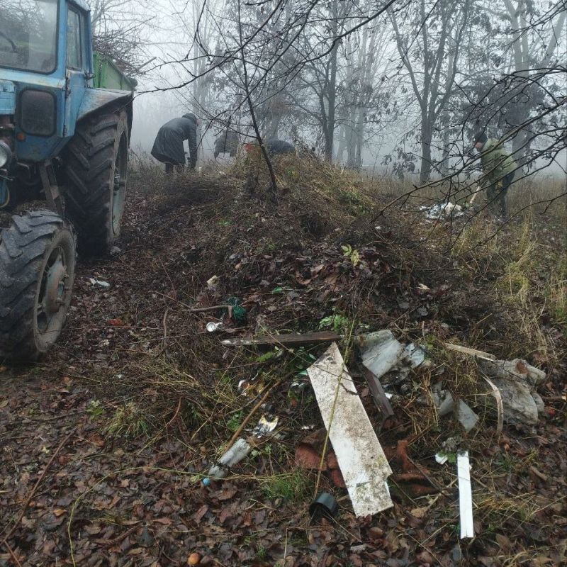 ������ ���������� ���������� �������� � ���� �������� �����������, ������������ �� ����������� ������� � ������� ������ ������ ����