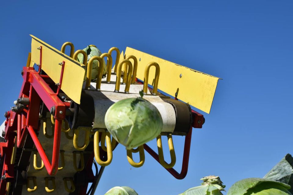 ��������������� ����� 2025 ���� � ������� ��������� ���������