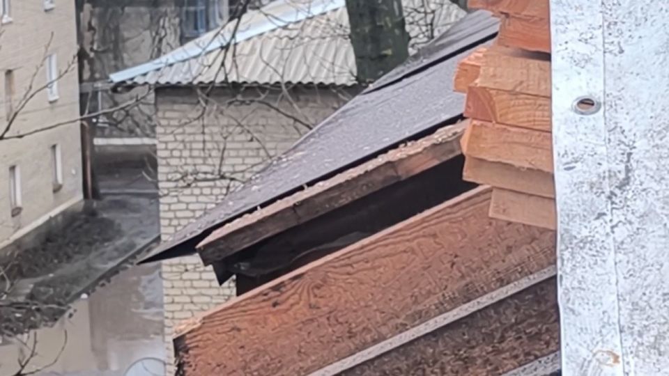 � ���� ���������� ������ ��������� ��������� ���������� � ������� ����������� ������� �� ���� � 7 �� ��. ������� � �. �����������. ����� � ����� �� ���� ������: ���� ������� �� ������