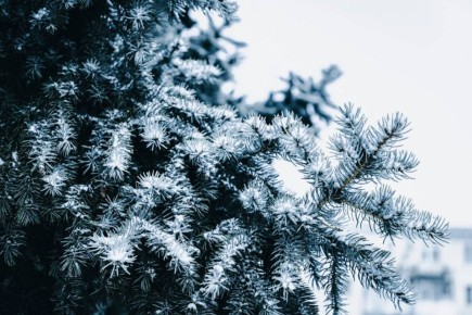 ��������� ������������ � ������� ����� 13 ������� � ��� �� 5 �������� ������ �� ����, ������� ��������� ����, ������ ����, ����� � ������