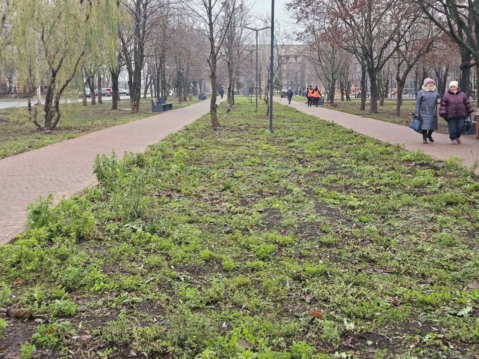 Благоустройство сквера афганцев: МУП "ЖЭК" провел комплексные работы Благоустройство сквера афганцев: МУП "ЖЭК" провел комплексные работы
