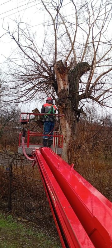 В ходе Прямой линии Главы Луганской Народной Республики жительницей Краснодона был затронут вопрос безопасности объектов энергоснабжения на территории округа, а именно — обрезки дерева, находящегося в непосредственной...