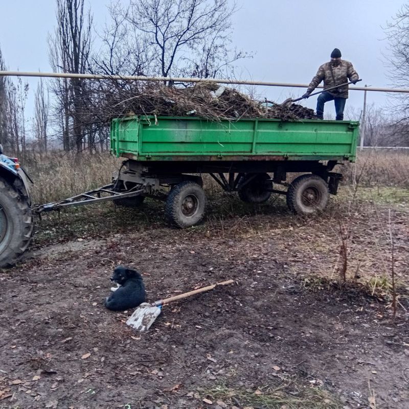 ������ ���������� ���������� �������� � ���� �������� �����������, ������������ �� ����������� ������� � ������� ������ ������ ����