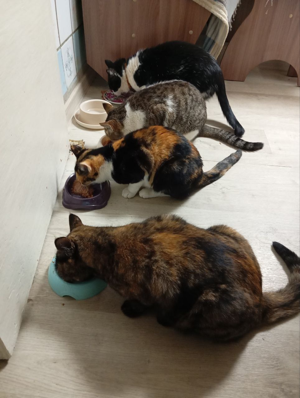 14 декабря на территории Луганской Народной Республики прогрозируется переменная облачность