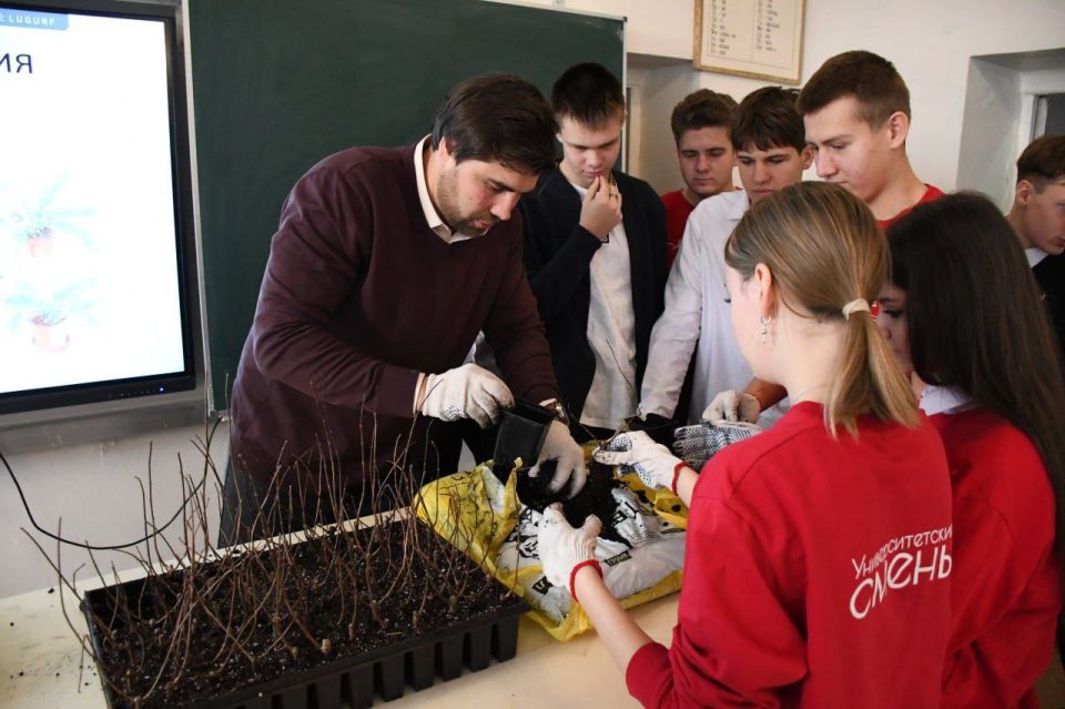 ������ �������: ������� ���������� ����� �������� ������ �� ��������� �������