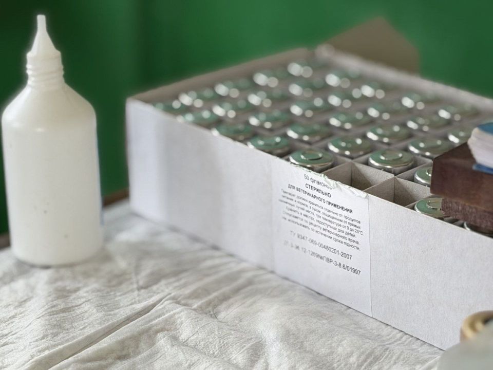 ������ �������: � ����������� ���������� ��������� ����������������� �����, ������������ �� ������ ��������� ��������