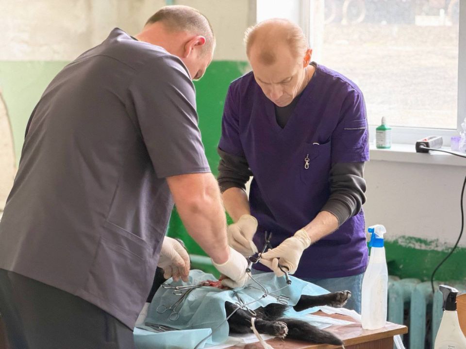 ������ �������: � ����������� ���������� ��������� ����������������� �����, ������������ �� ������ ��������� ��������