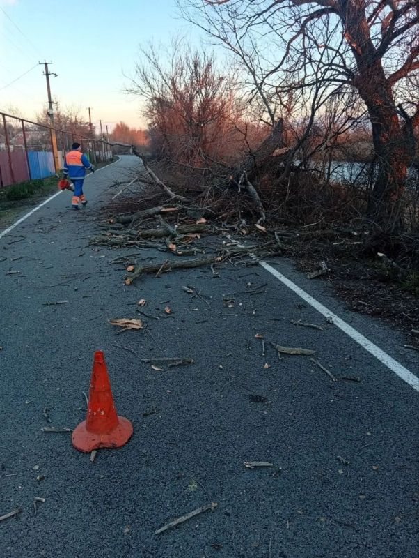 ��������� ���������� ������������ �� ������� ���