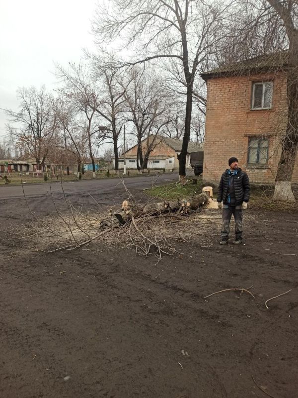 ������������� ���������� �������� ������������� � ���������������� ����������