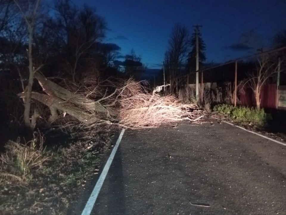 ��������� ���������� ������������ �� ������� ���