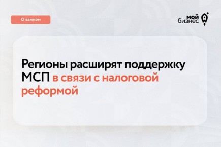 Новые программы поддержки для МСП: помощь в адаптации к налоговым изменениям
