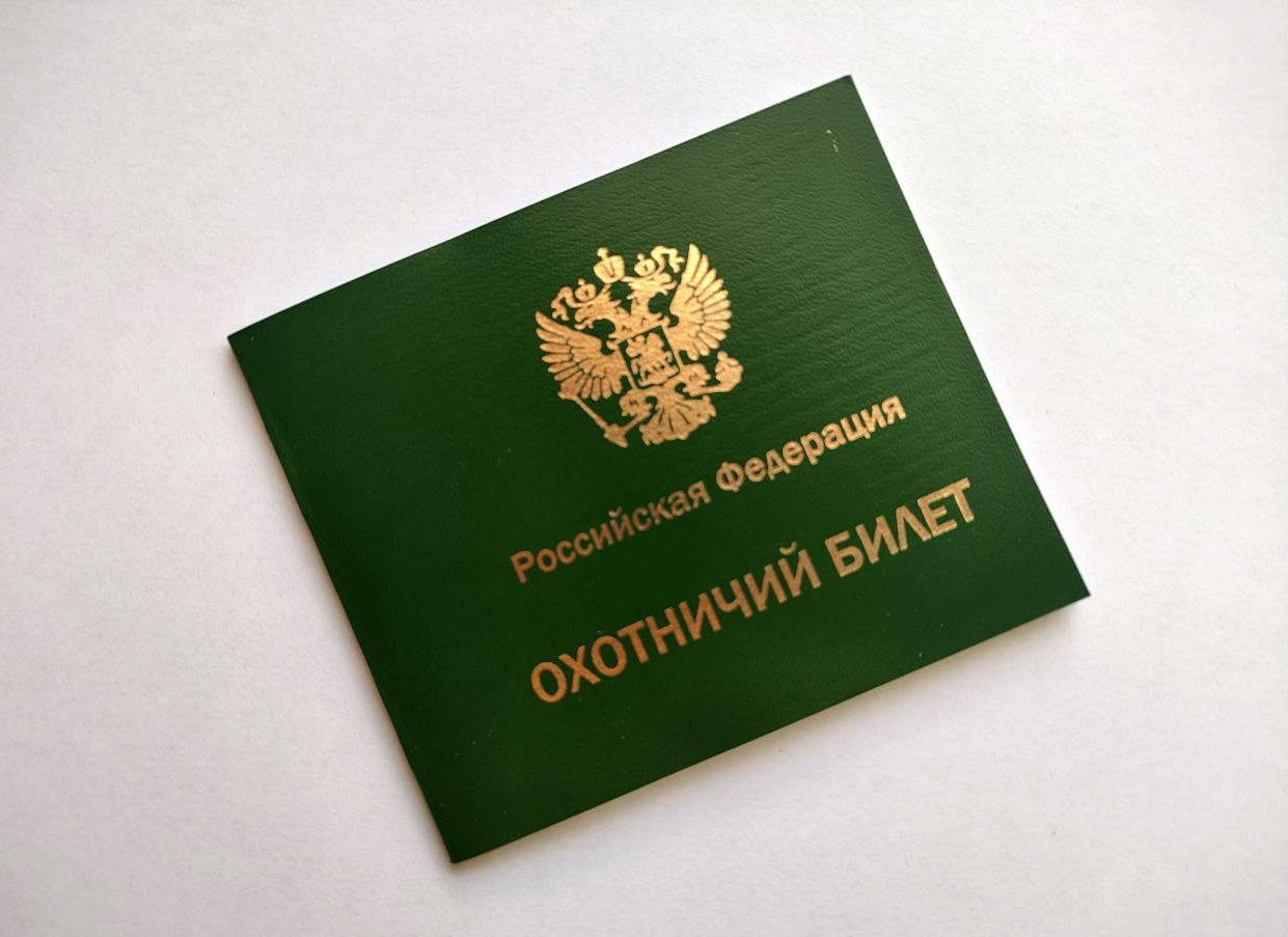 С начала 2025 года Минприроды ЛНР выдало 12 тысяч охотничьих билетов единого федерального образца