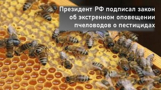 Пчеловодам на заметку: новый закон об оповещении о пестицидах в экстренных ситуациях