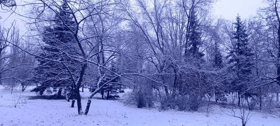 �������: ���� � ��������. ��� � ������ � ������ ���� ����, ��� ������ ����� �������� ��������� � ������������