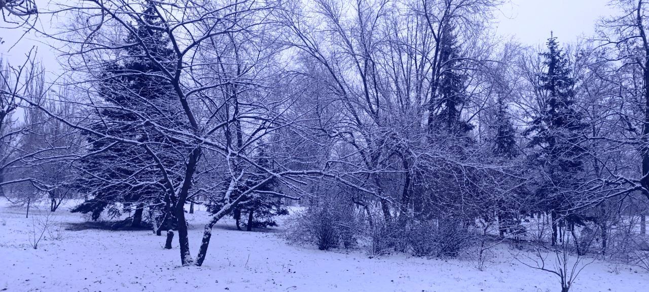 Рубрика: зима в Рубежном. Вот и настал в городе день зимы, для многих людей является особенным и долгожданным Рубрика: зима в Рубежном. Вот и настал в городе день зимы, для многих людей является особенным и долгожданным