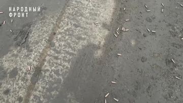 Когда помощь — это шанс выжить: Народный фронт в Меловатке