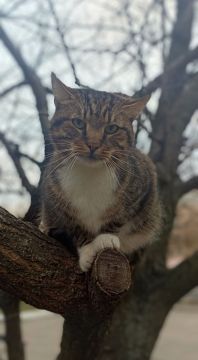 17 декабря на территории Луганской Народной Республики будет облачно с прояснениями