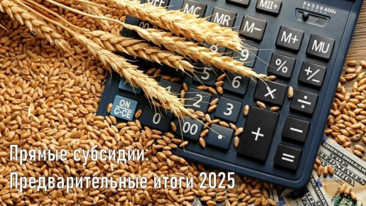 ������������ ��������: ����� 2025 ����