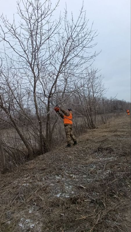 ������ ��������: ������ �� ��������������� ������� ���������� ������ ����� �������� ������������